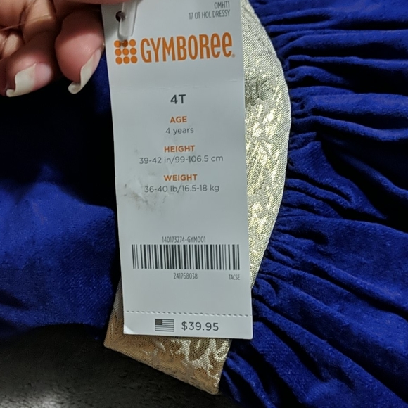 Gymboree Blue Dress - Picture 3 of 3